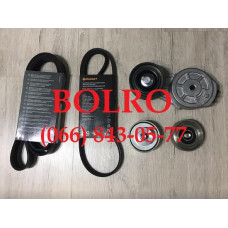 0001280767 РЕМКОМПЛЕКТ ГРМ ДВИГУНІВ ТРАКТОРІВ STEYR 6130 6145 6160 6165 6215 6150 6165 6175