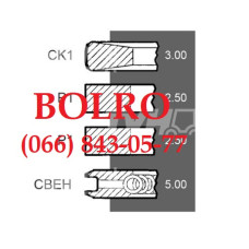 0001281846 ПОРШНЕВІ КІЛЬЦЯ Ø100*3*2,5*2,5*5MM МОТОРІВ DEUTZ F2L912 F3L912 F3L912W F4L912 F4L912W F5L912 F6L912 F6L912W