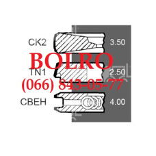 0001281886 ПОРШНЕВІ КІЛЬЦЯ Ø100*3,5*2,5*4MM КОМБАЙНІВ CLAAS DOMINATOR 68 88 98 MEGA 202 203 MASSEY FERGUSON 5650 ТРАКТОРІВ LANDINI MF 8925 8926 8937 8939 4245 4255 4265 4345 4355 4708 5300 5310 6130 6140 6150