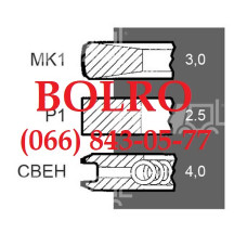 0001279695 ПОРШНЕВІ КІЛЬЦЯ ДВИГУНІВ FIAT IVECO 8045.05 8045.06 8041.I.25 8041C.05.05A 8041.SI.25 8065.25+