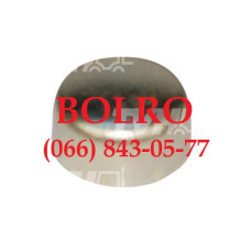 0001279824 ЗАГЛУШКА БЛОКУ 17.60ММ ДВИГУНА PERKINS CUMMINS FORD IVECO FIAT SISU VALMET CLAAS NEW HOLLAND FORD VOLVO MF DRONNINGBORG