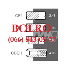 0001279842 ПОРШНЕВІ КІЛЬЦЯ Ø100MM ДВИГУНІВ VALMET 309D 310B 310D 320DS КОМБАЙНІВ SAMPO 310 360+