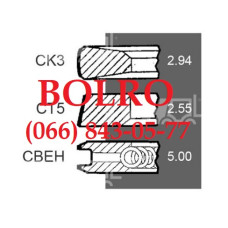 0001283401 ПОРШНЕВІ КІЛЬЦЯ Ø100*2.94*2,55*5MM МОТОРІВ DEUTZ F2L511 F2L511D F2L511W