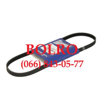 0001287308 РЕМІНЬ ВОДЯНОЇ ПОМПИ, НАСОСУ ВОДИ ДВИГУНІВ РЕФРИЖЕРАТОРІВ CARRIER VECTOR 8500 1950MT 1950 1850MT 1850 1800 6600 6500 1800MT 6600 MT HE 19 