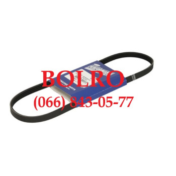 0001287308 РЕМІНЬ ВОДЯНОЇ ПОМПИ, НАСОСУ ВОДИ ДВИГУНІВ РЕФРИЖЕРАТОРІВ CARRIER VECTOR 8500 1950MT 1950 1850MT 1850 1800 6600 6500 1800MT 6600 MT HE 19 