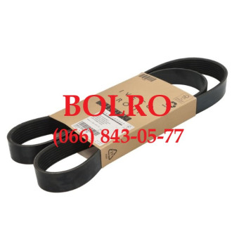 0001287394 РЕМІНЬ ПРИВОДУ ВОДЯНОЇ ПОМПИ ДВИГУНІВ FPT NEF N67ENTY2000L011 N67ENTY2100L004 N45MRAD00.50A001 N45MRSD00.50A001 N45MRSD02.50A001 F4GE0454A*D613 F4GE9454C*J605 F4GE9454C*J606